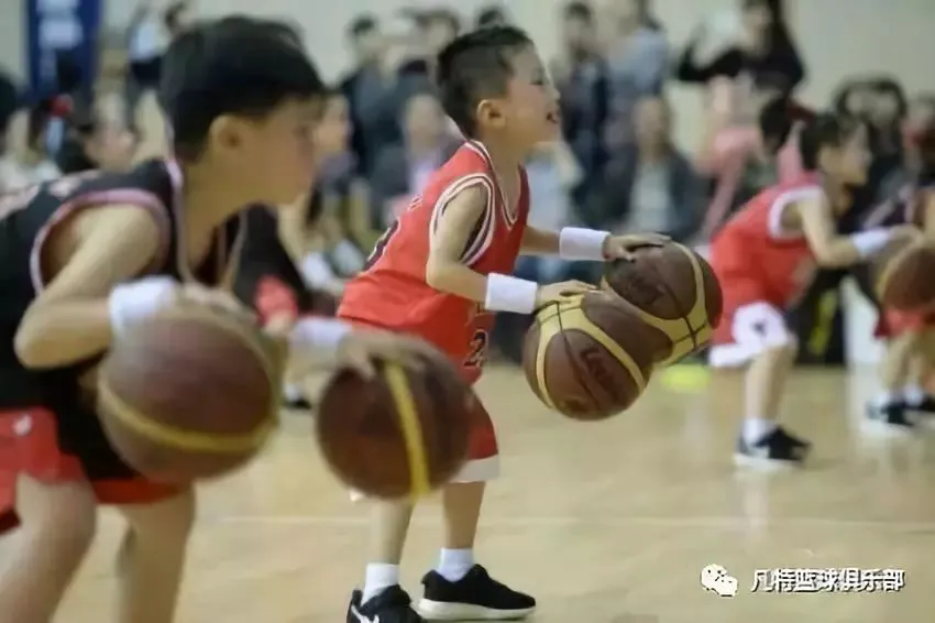 篮球教练队长训练计划书怎么写的_1